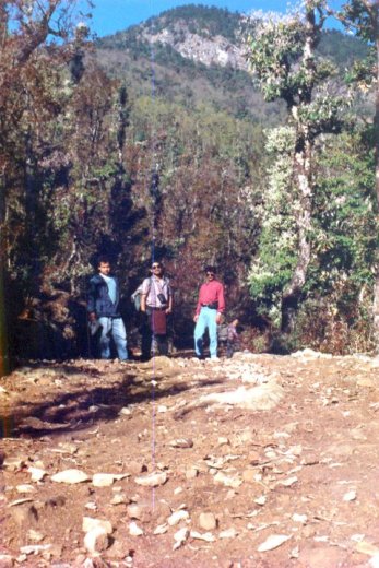 148567_162055870498650_6054947_n